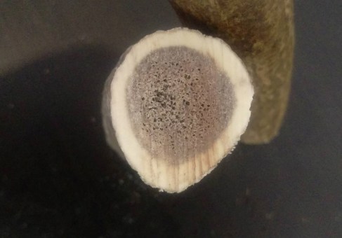 19105020_651396875054482_1125493120_o