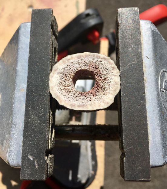 Photo 02-05-2017, 11 15 16